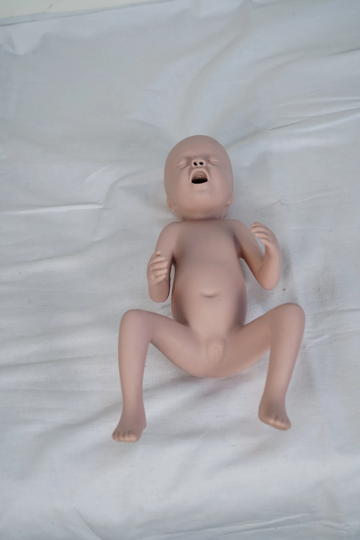 Advanced Thirty Weeks Premature Infant Model thumbnail 4