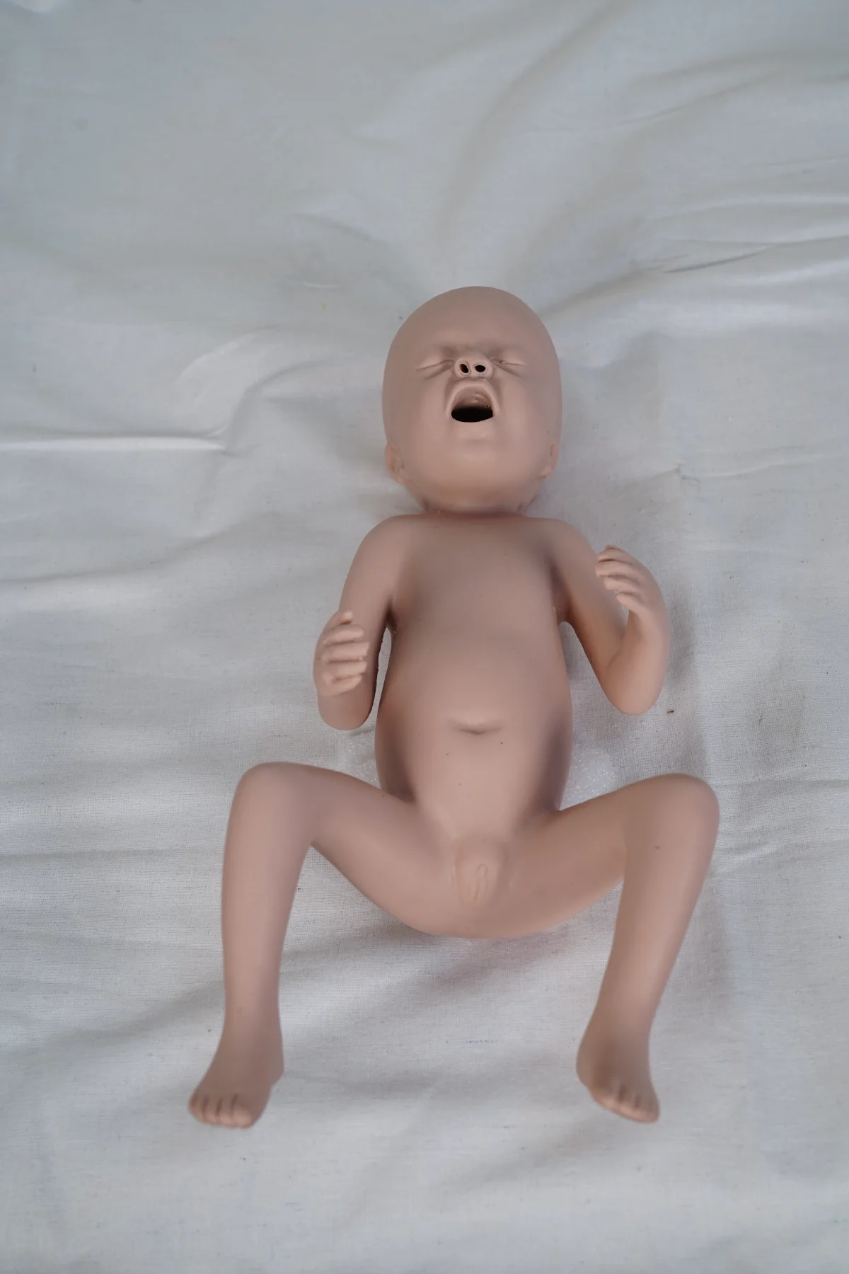 Advanced Thirty Weeks Premature Infant Model