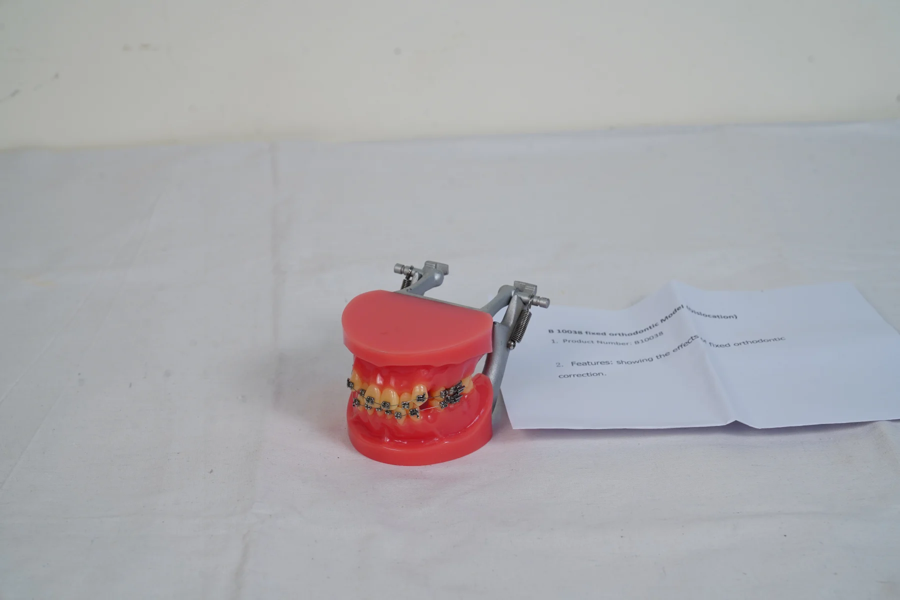 Fixed Orthodontic Model Dislocation thumbnail 4