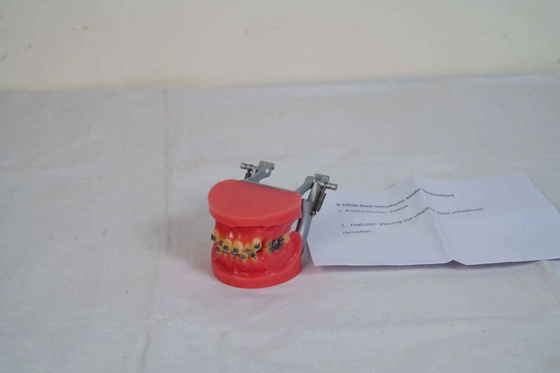 Fixed Orthodontic Model Dislocation