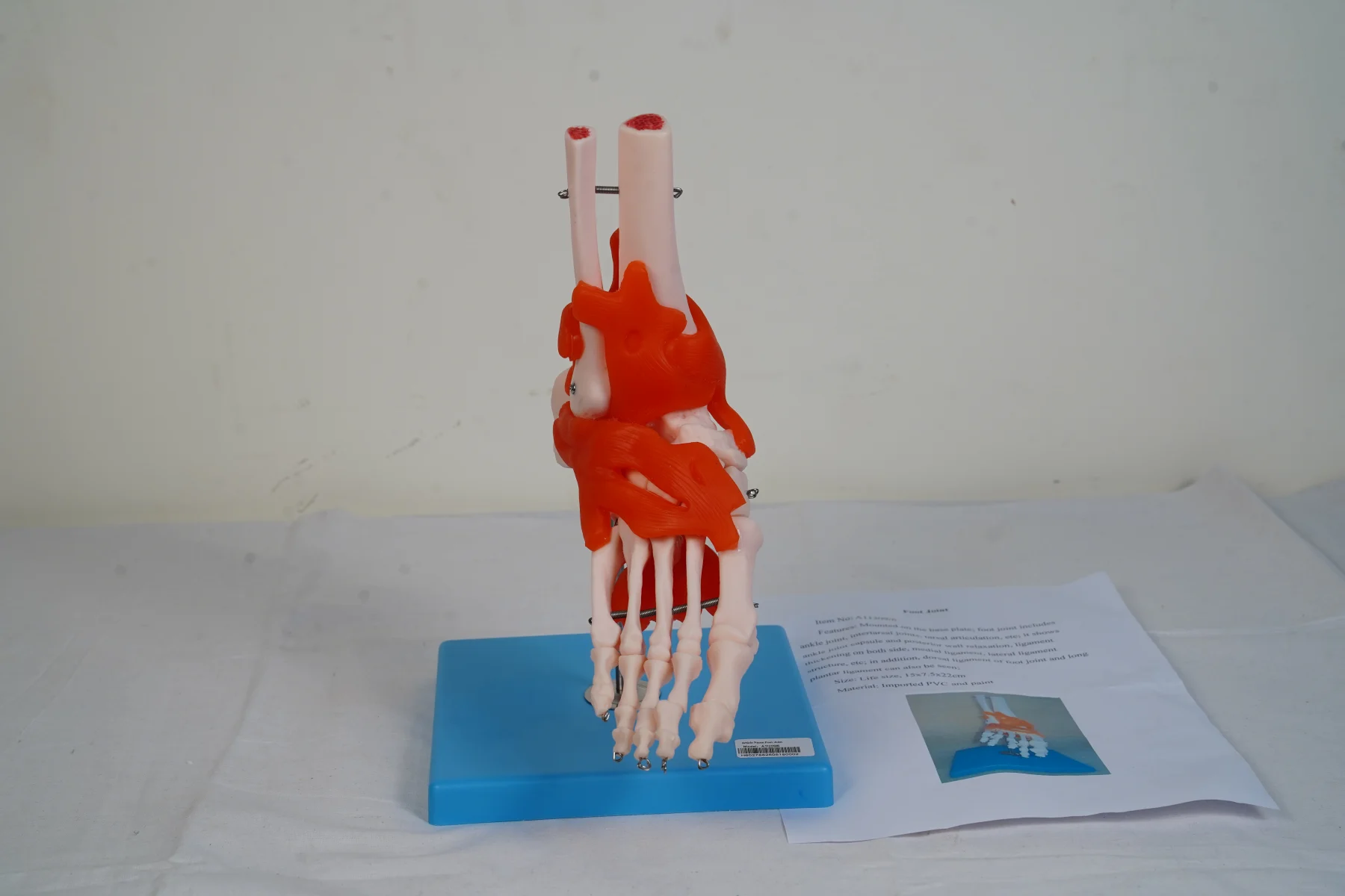 Foot Joint thumbnail 3
