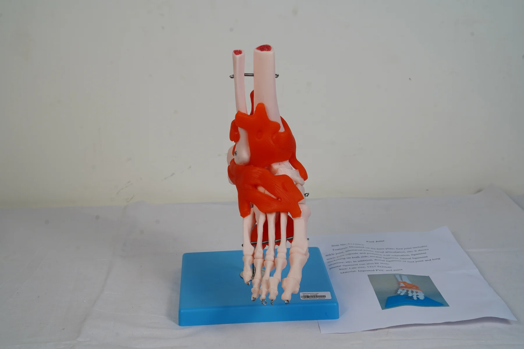 Foot Joint