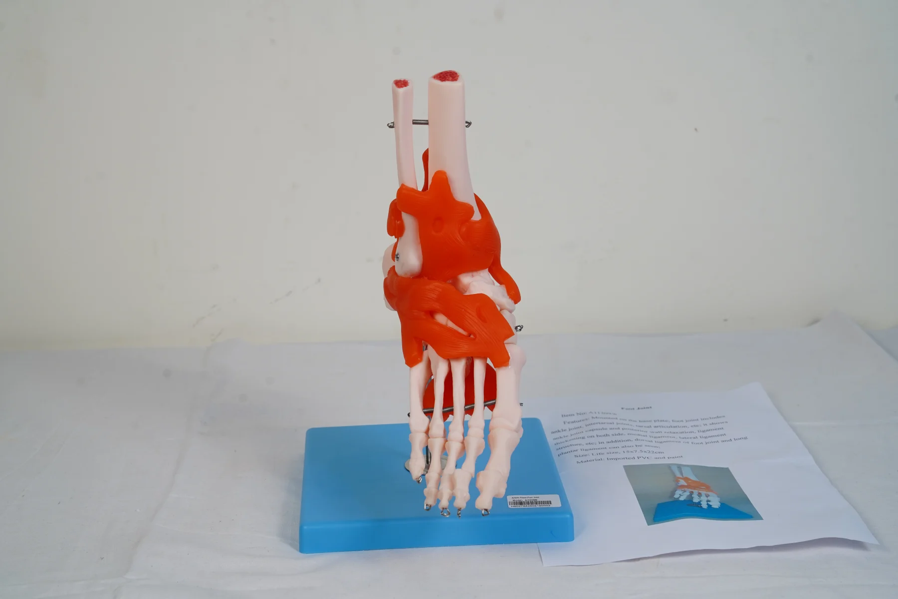 Foot Joint thumbnail 2