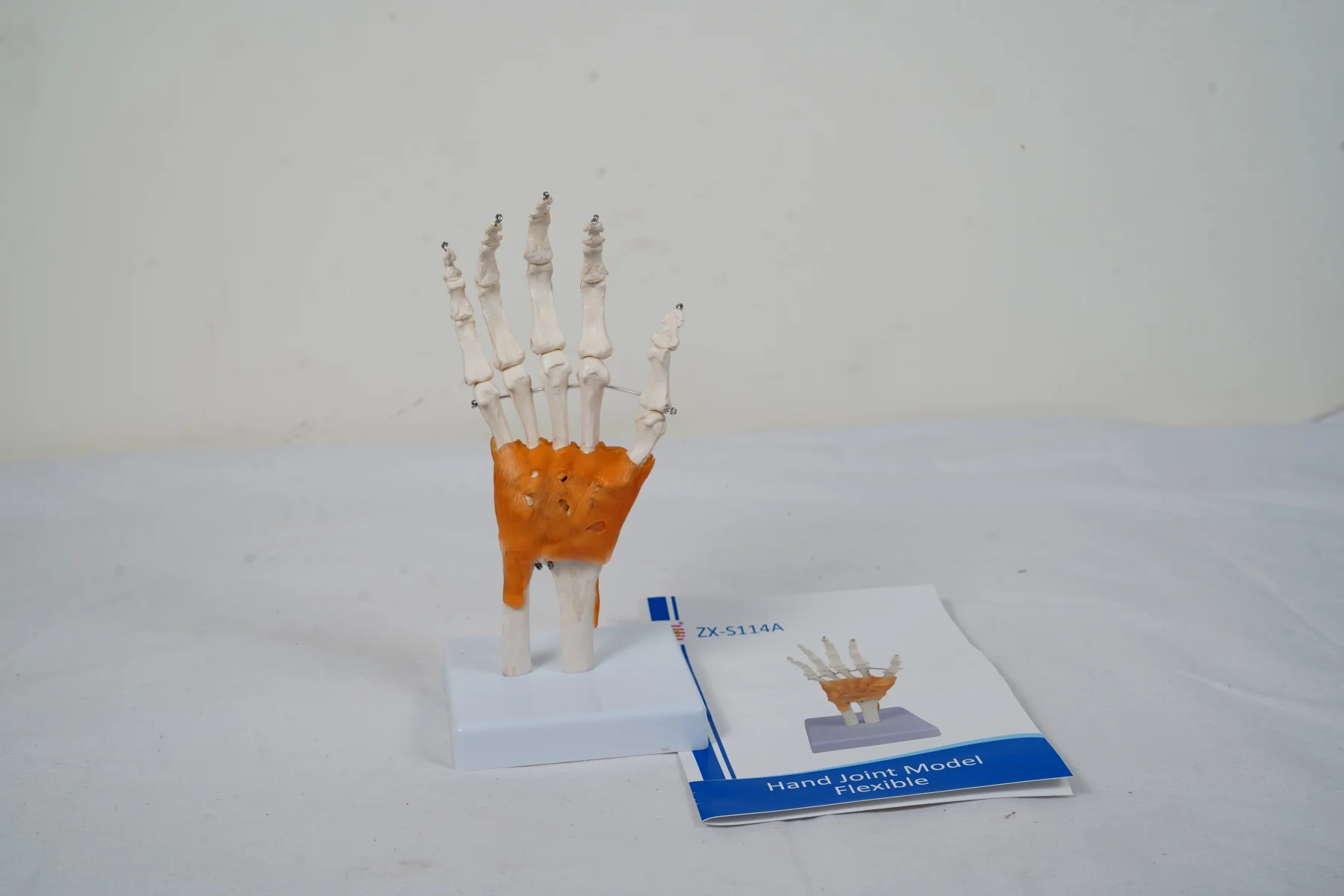 Hand Joint Model Flexible thumbnail 4