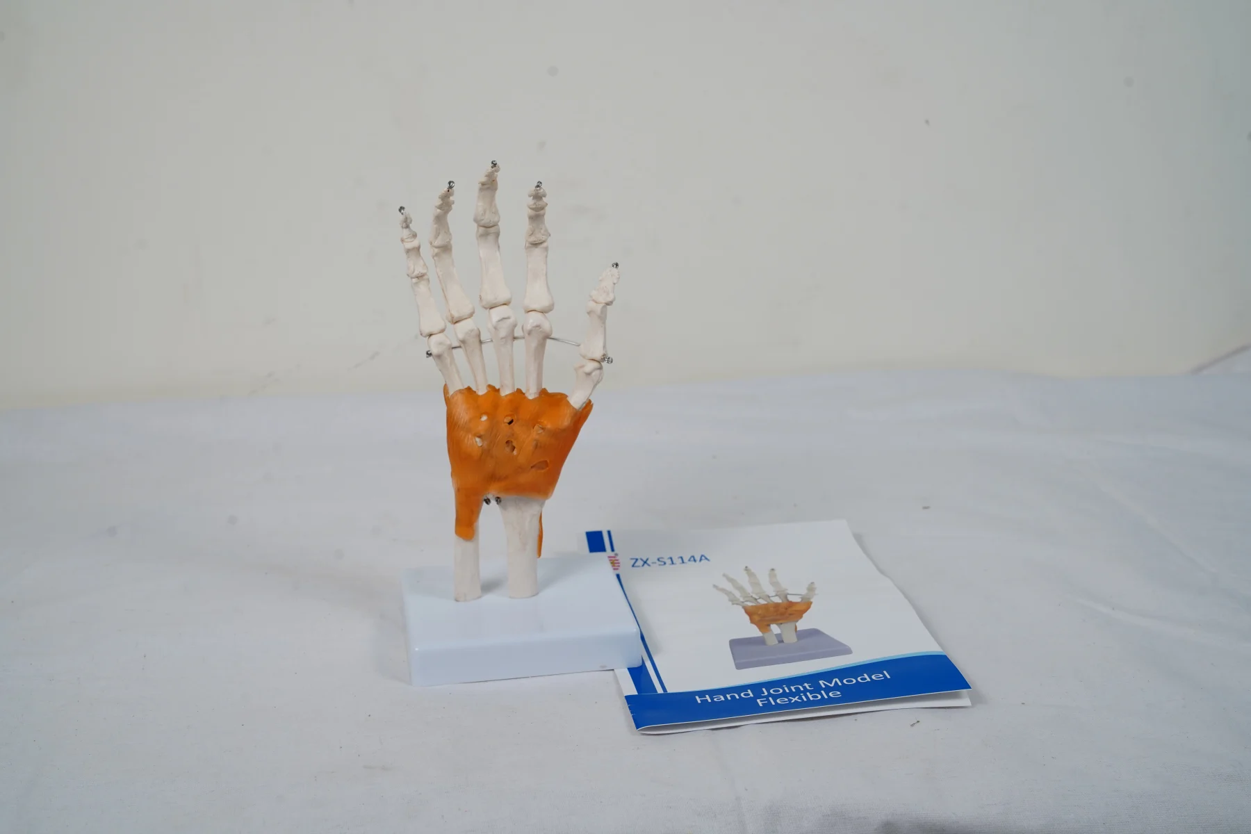 Hand Joint Model Flexible