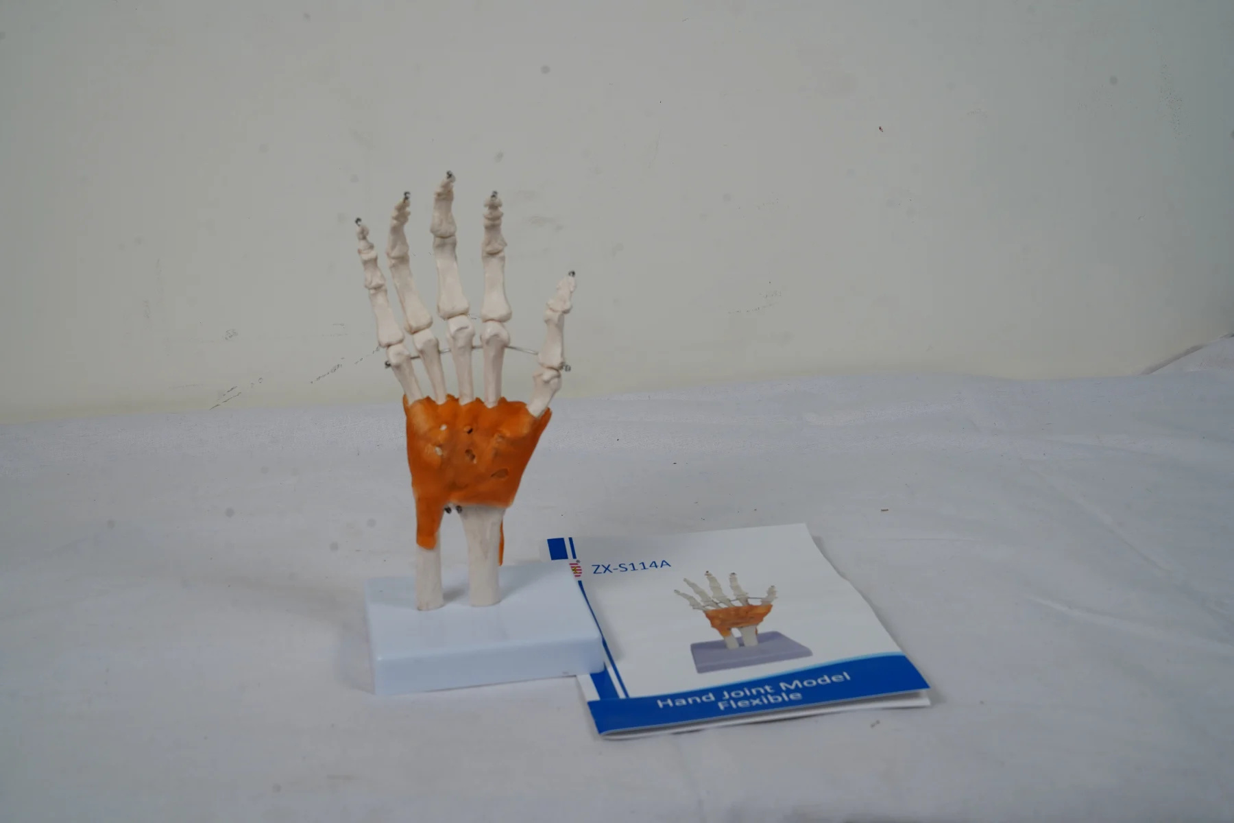 Hand Joint Model Flexible thumbnail 2