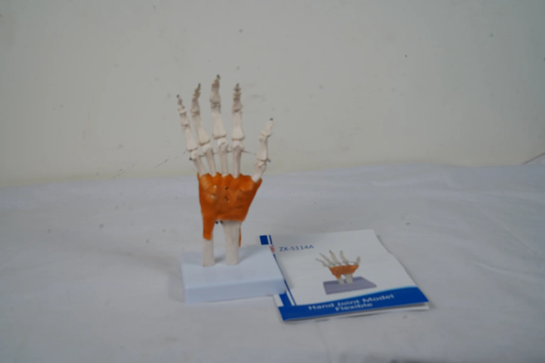 Hand Joint Model Flexible thumbnail 3