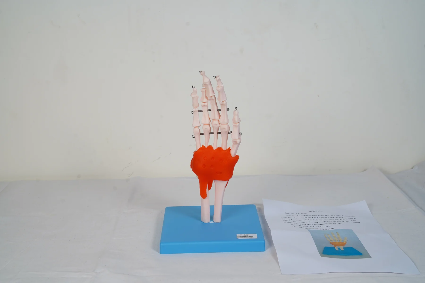 Hand Joint thumbnail 3