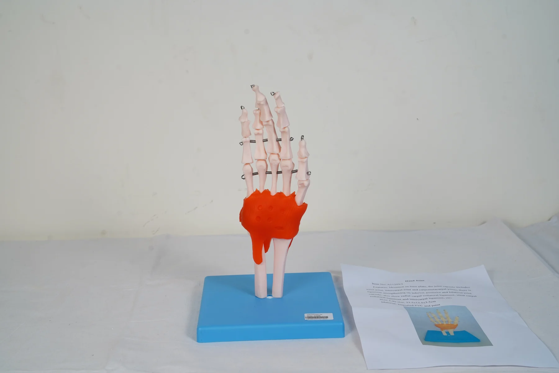 Hand Joint