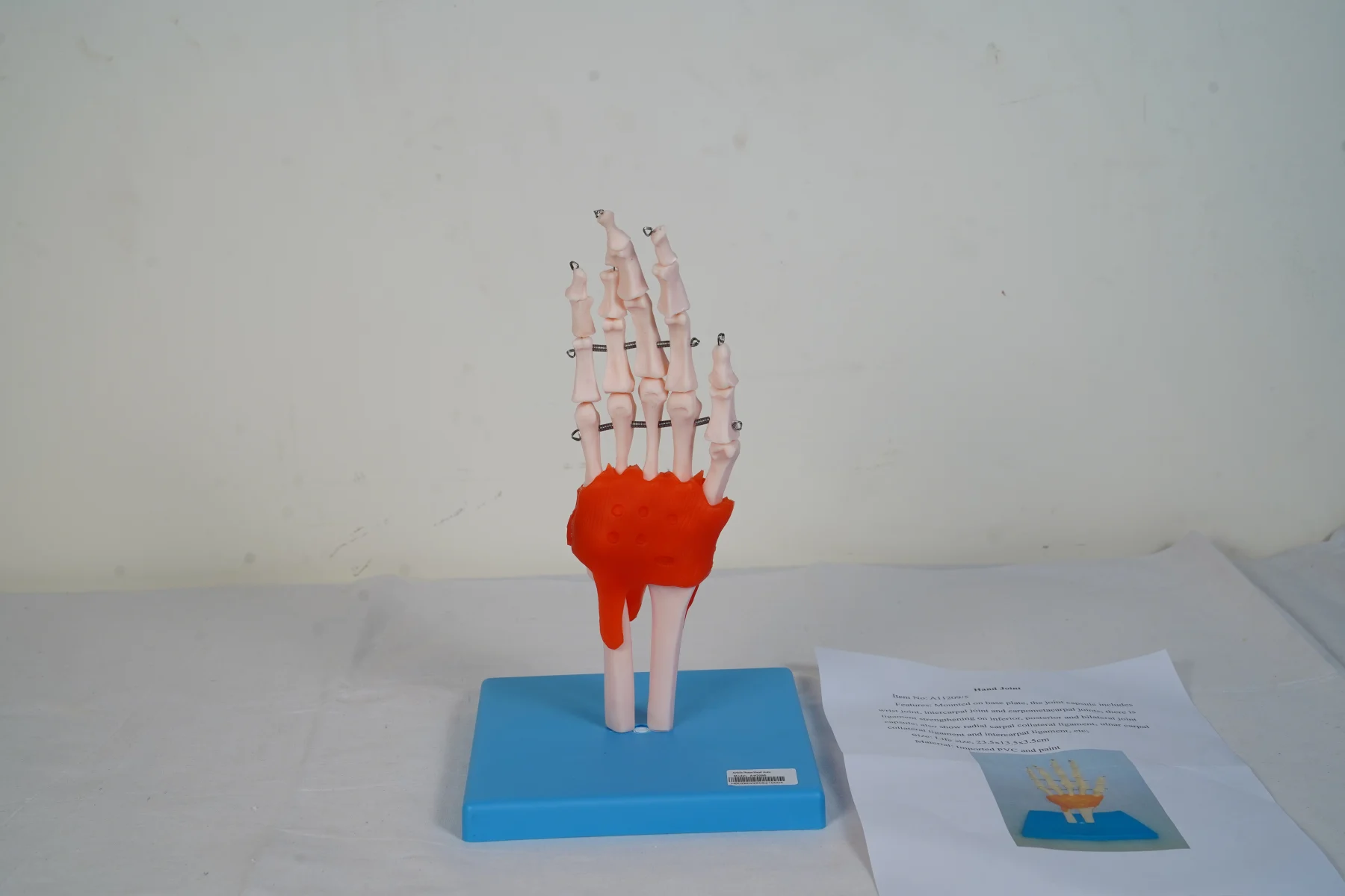 Hand Joint thumbnail 2