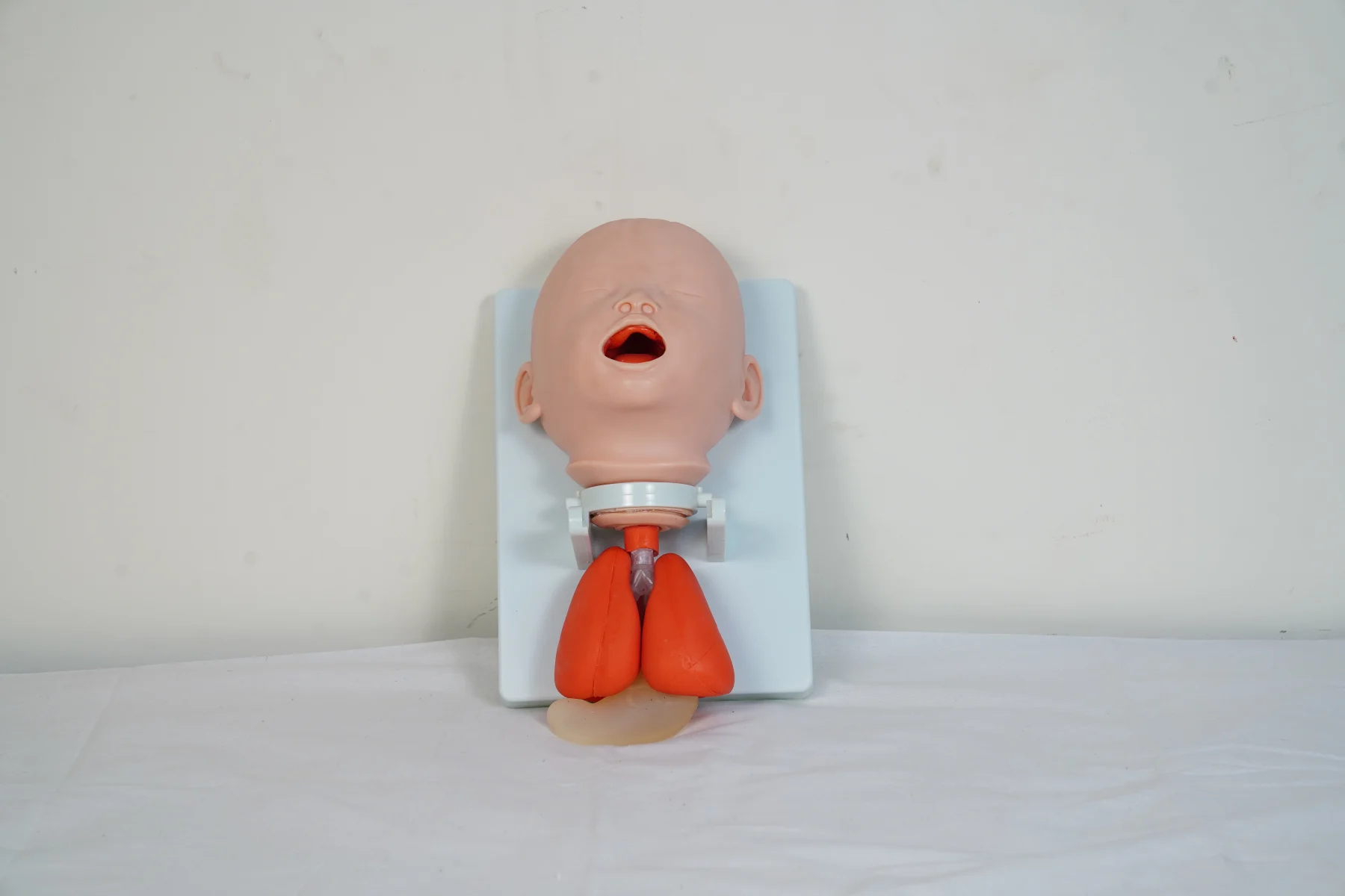 Infant Intubation Training Model thumbnail 2