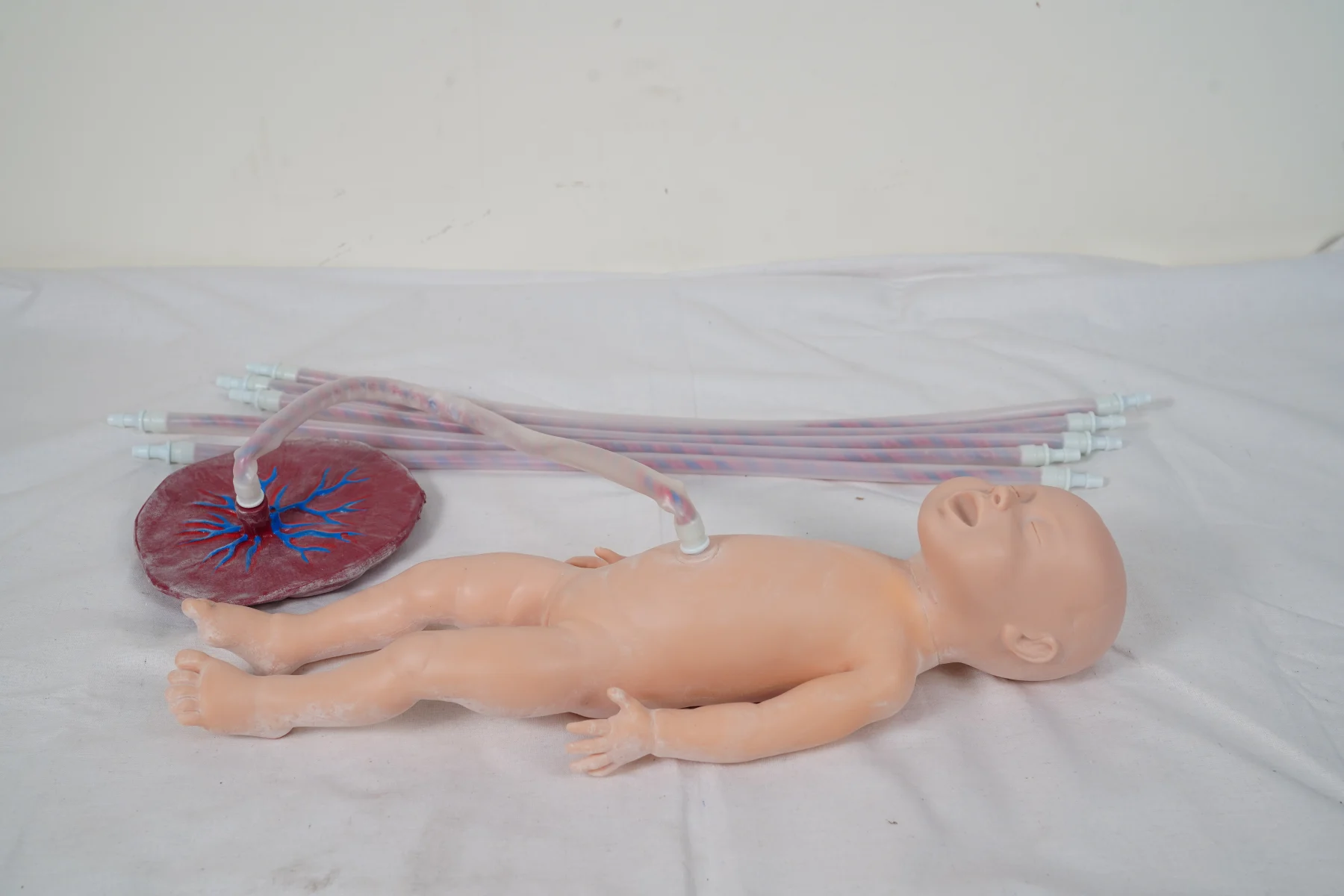 Advanced Neonate Umbilical Cord Nursing Model thumbnail 3