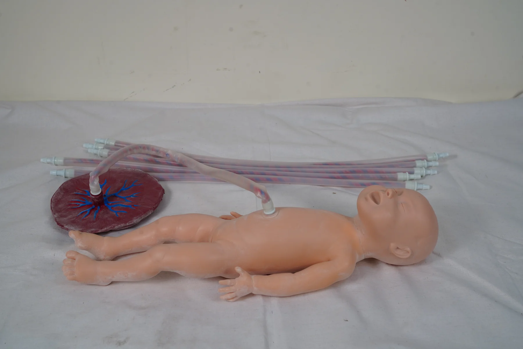 Advanced Neonate Umbilical Cord Nursing Model thumbnail 4