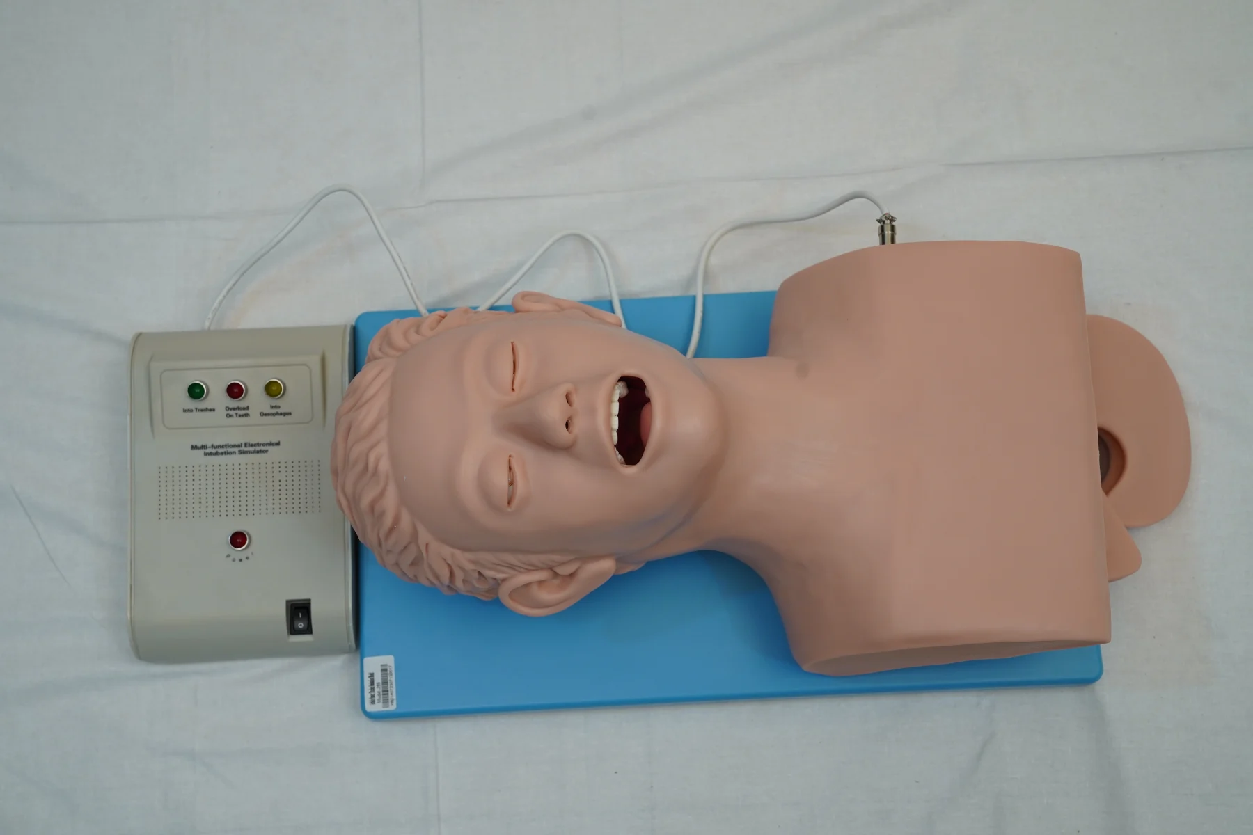 Airway Intubation Model thumbnail 2