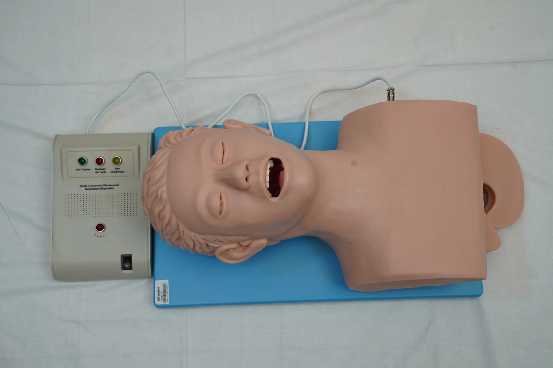 Airway Intubation Model thumbnail 3