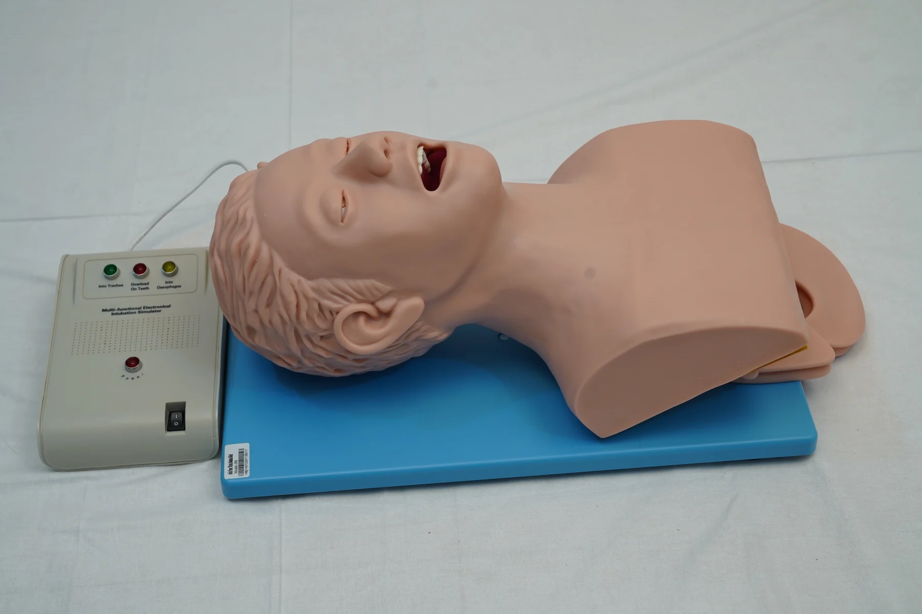Airway Intubation Model thumbnail 4