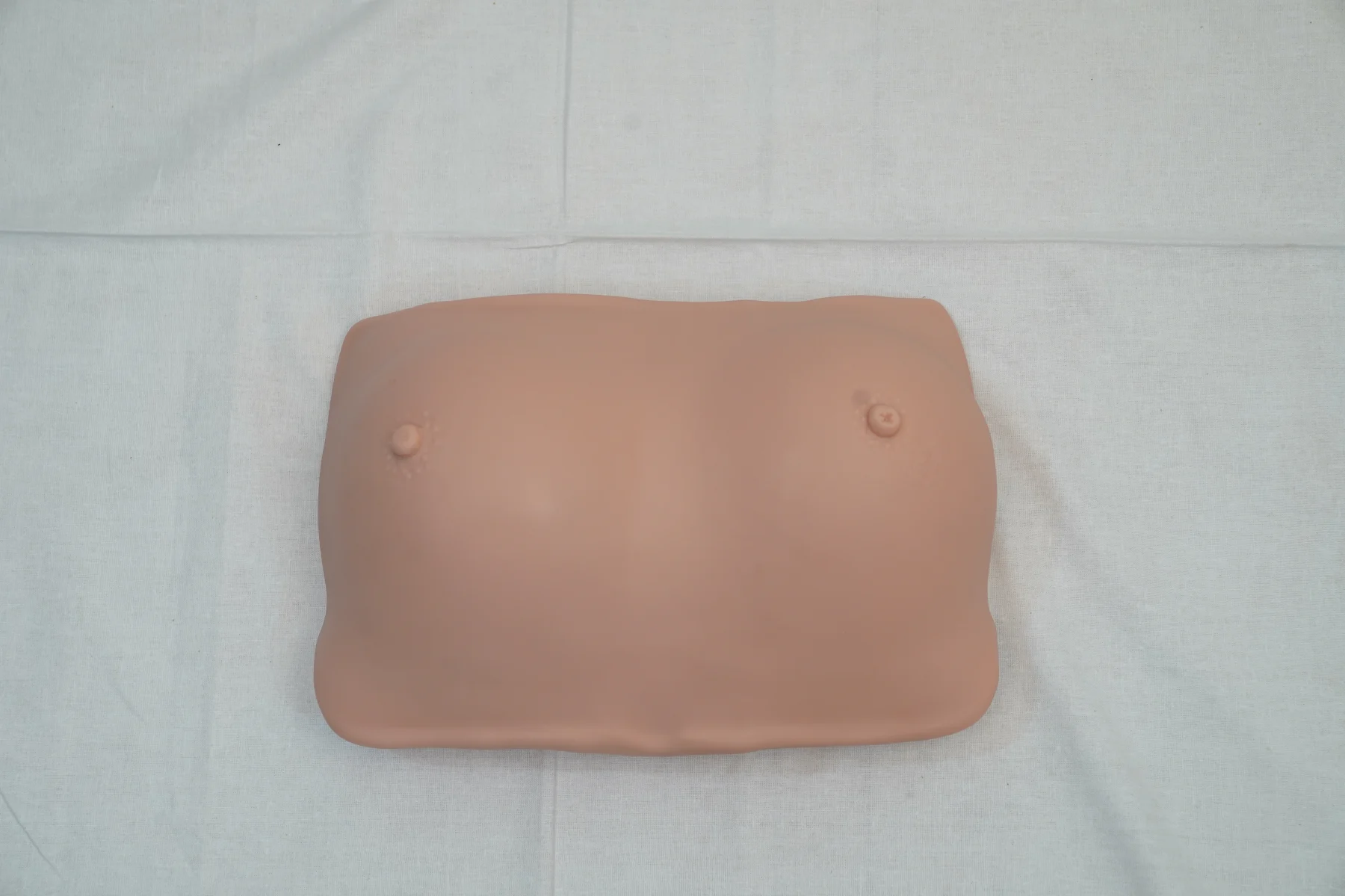 Breast Examination Model