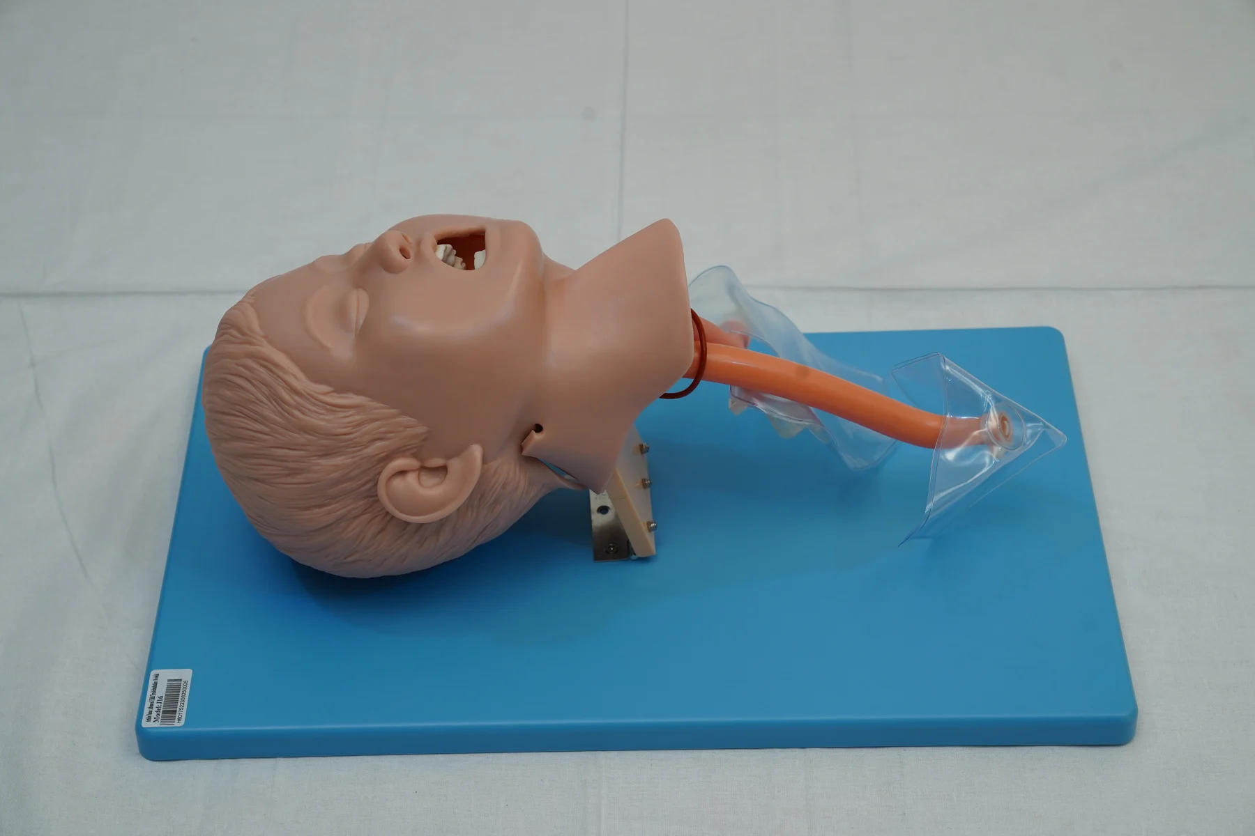 Advanced Child Tracheal Intubation Model
