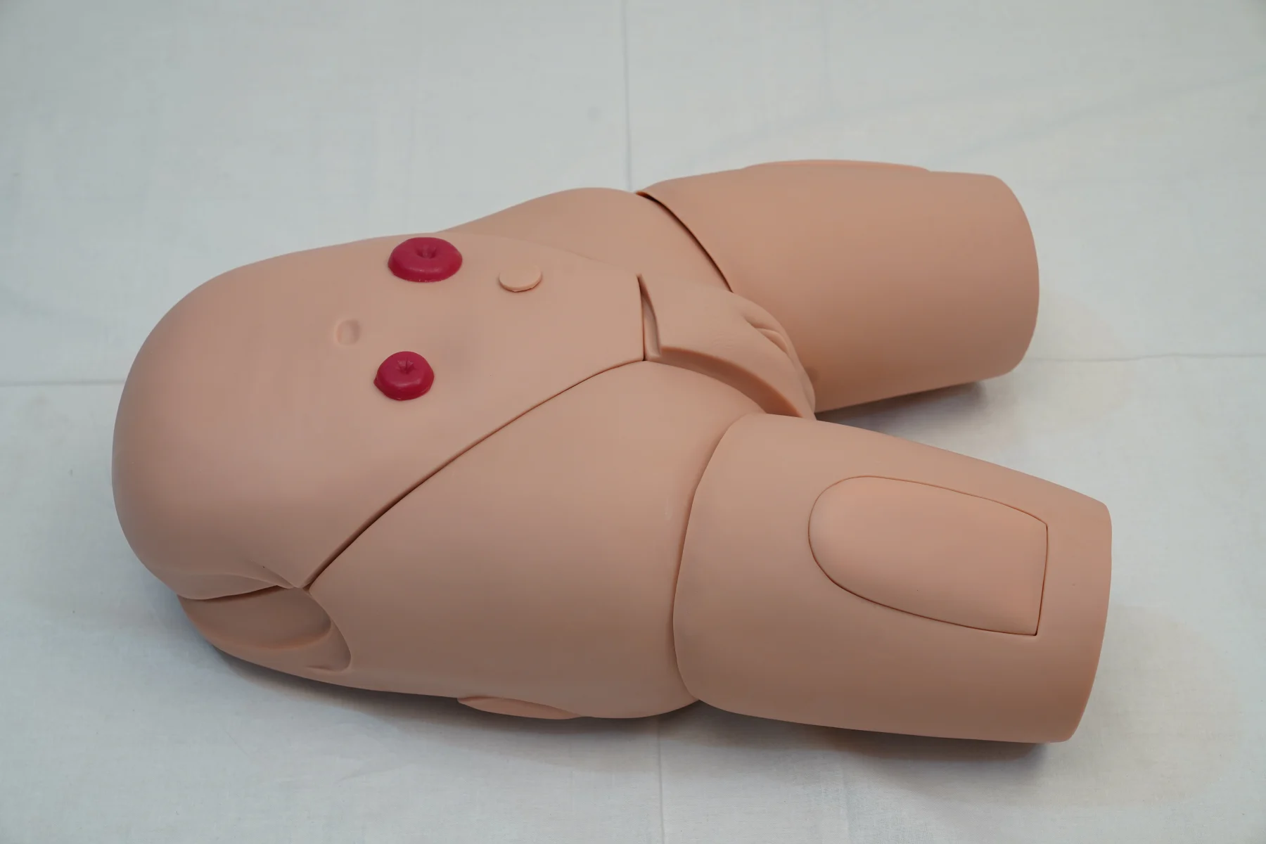 Female Catheterization Training Simulator thumbnail 2