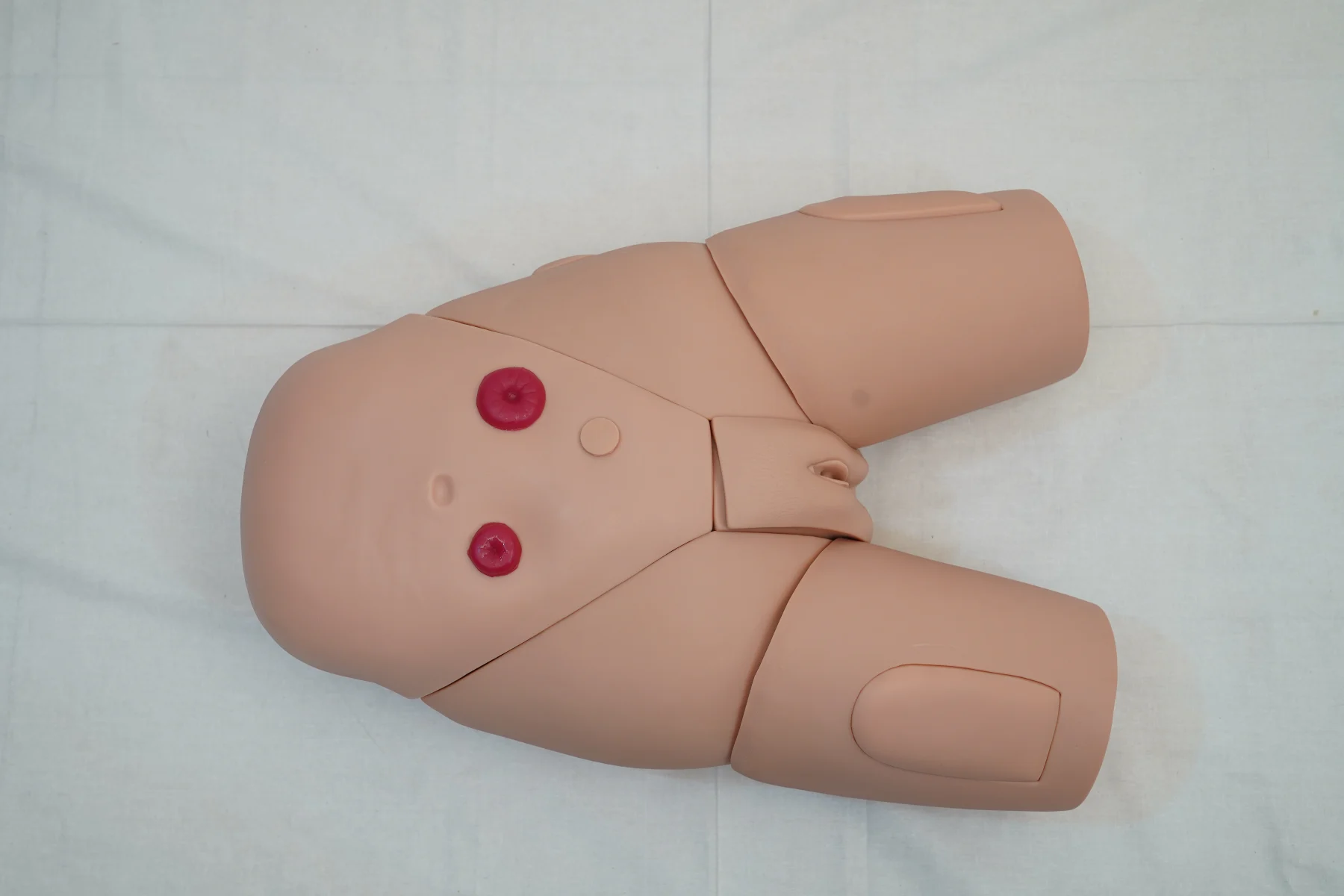 Female Catheterization Training Simulator thumbnail 3