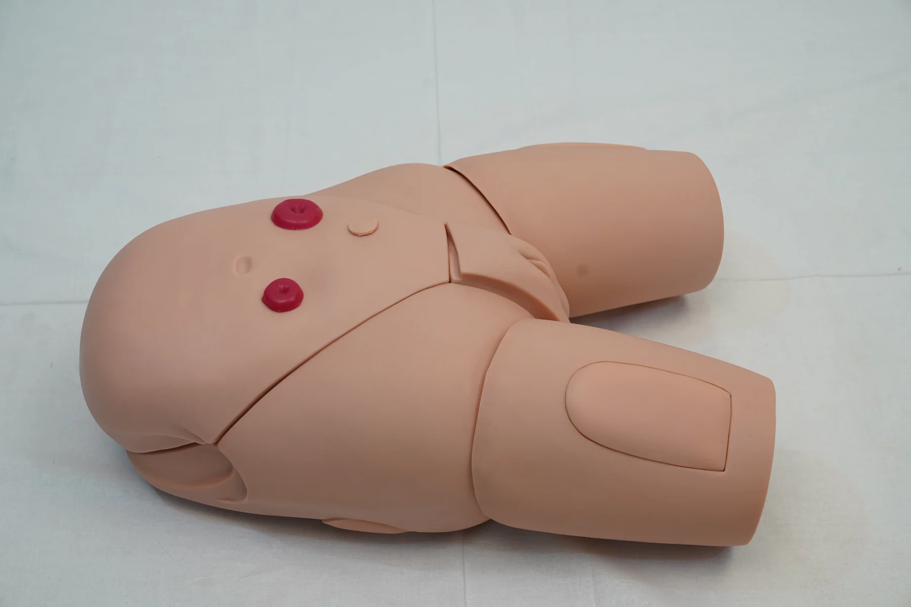 Female Catheterization Training Simulator thumbnail 4