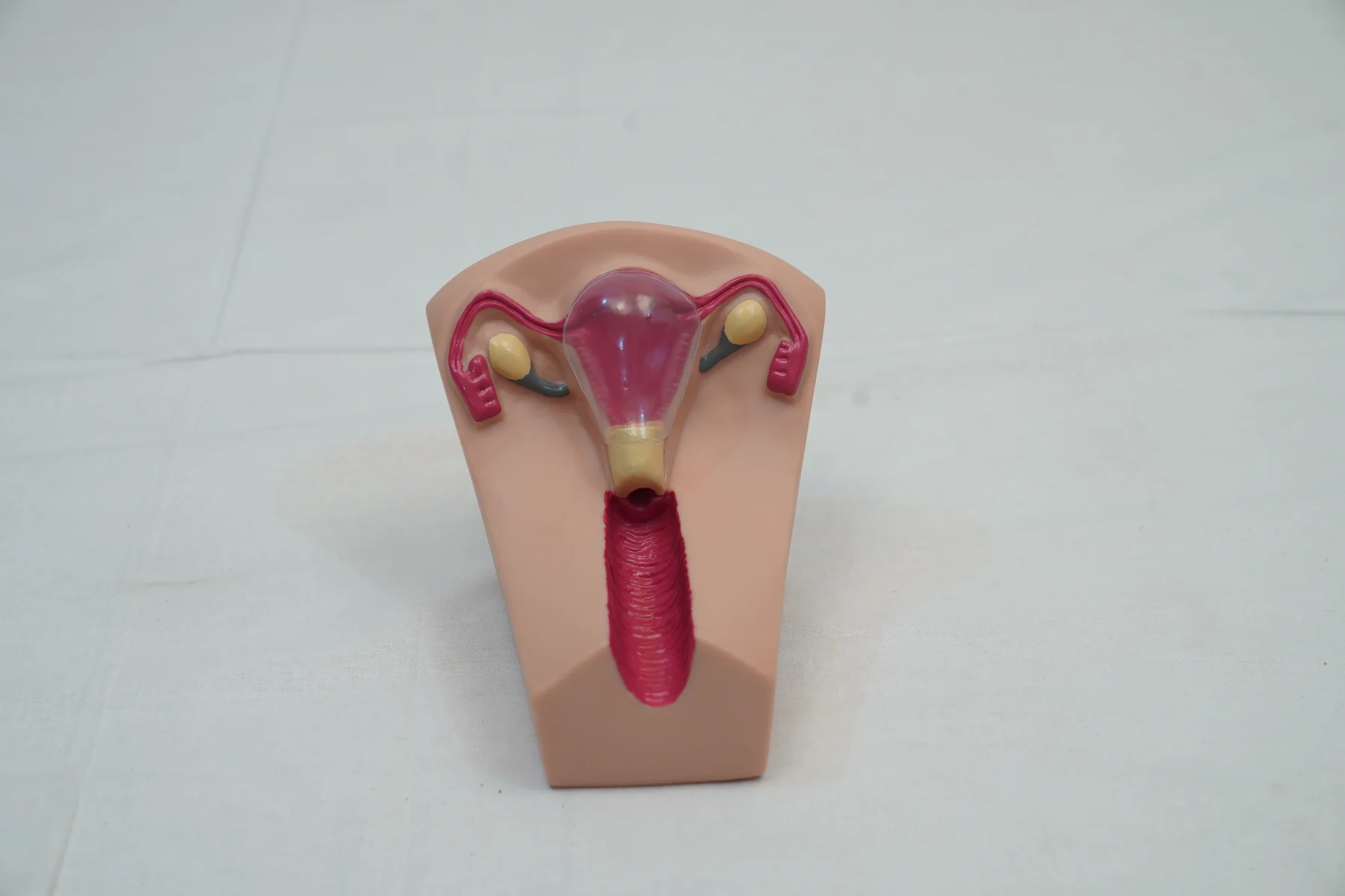 IUD Training Simulator