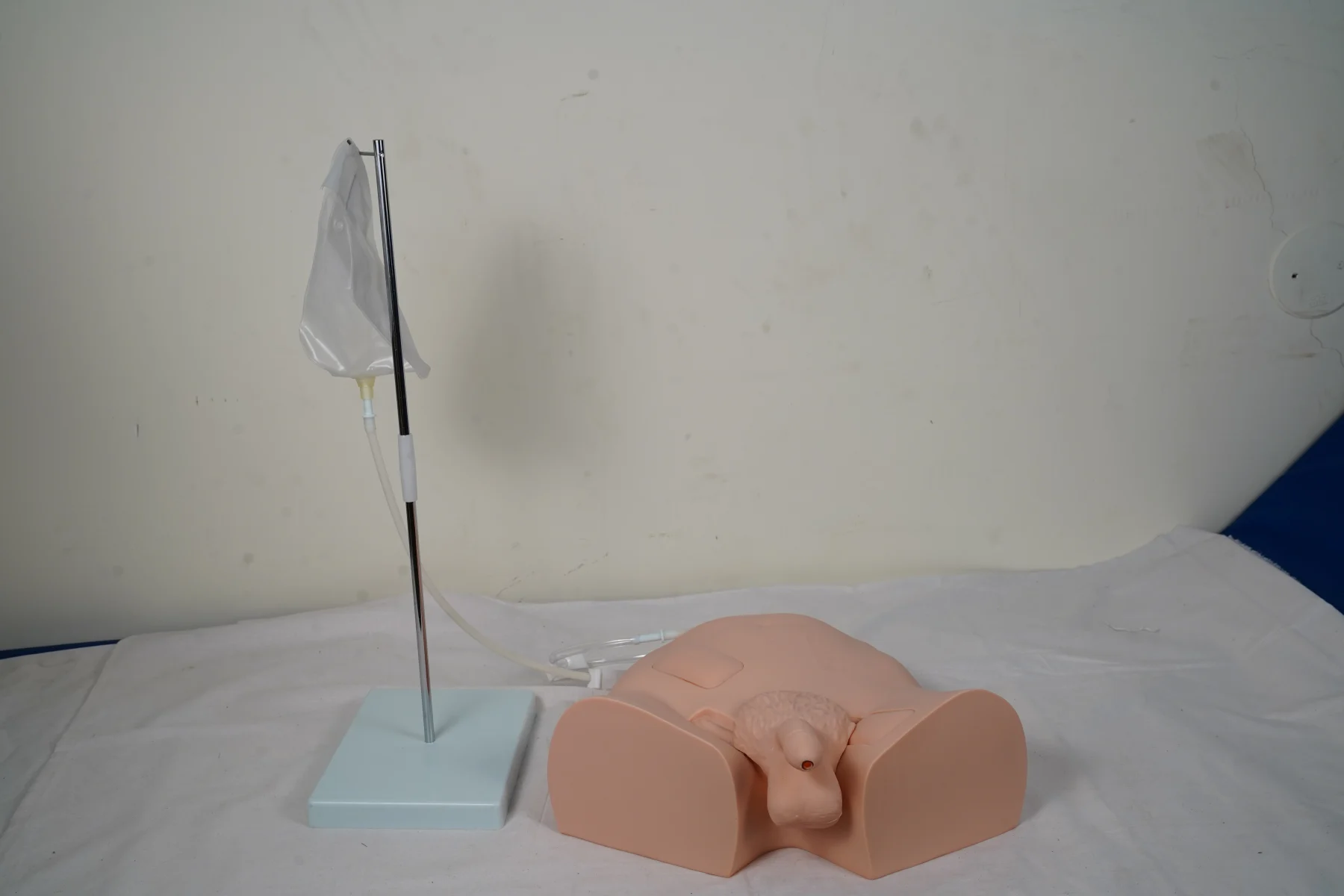 Simple Male Urethral Catheterization Simulator thumbnail 5