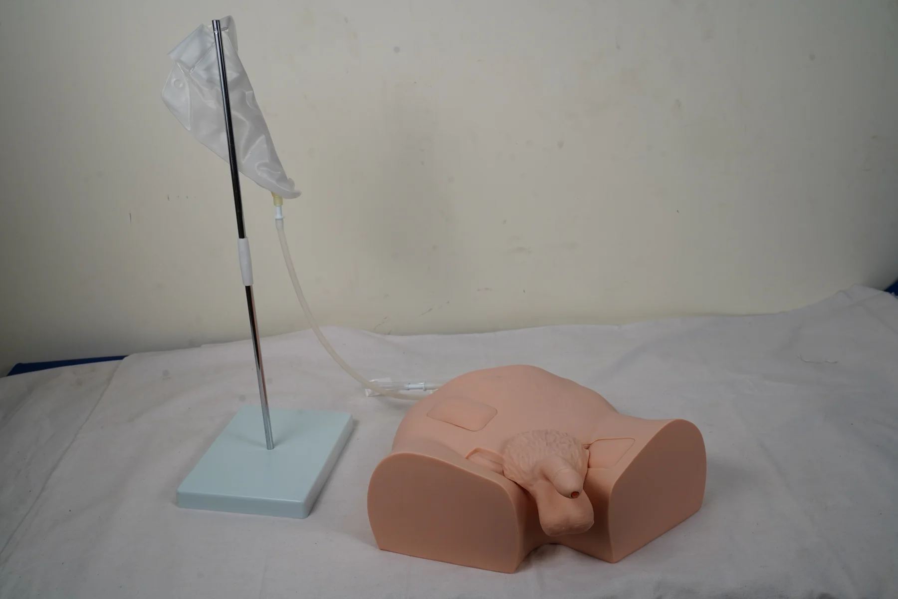 Simple Male Urethral Catheterization Simulator thumbnail 2