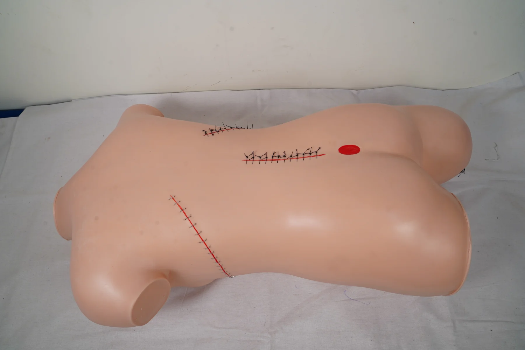 Surgical Suture and Bandaging Model thumbnail 12