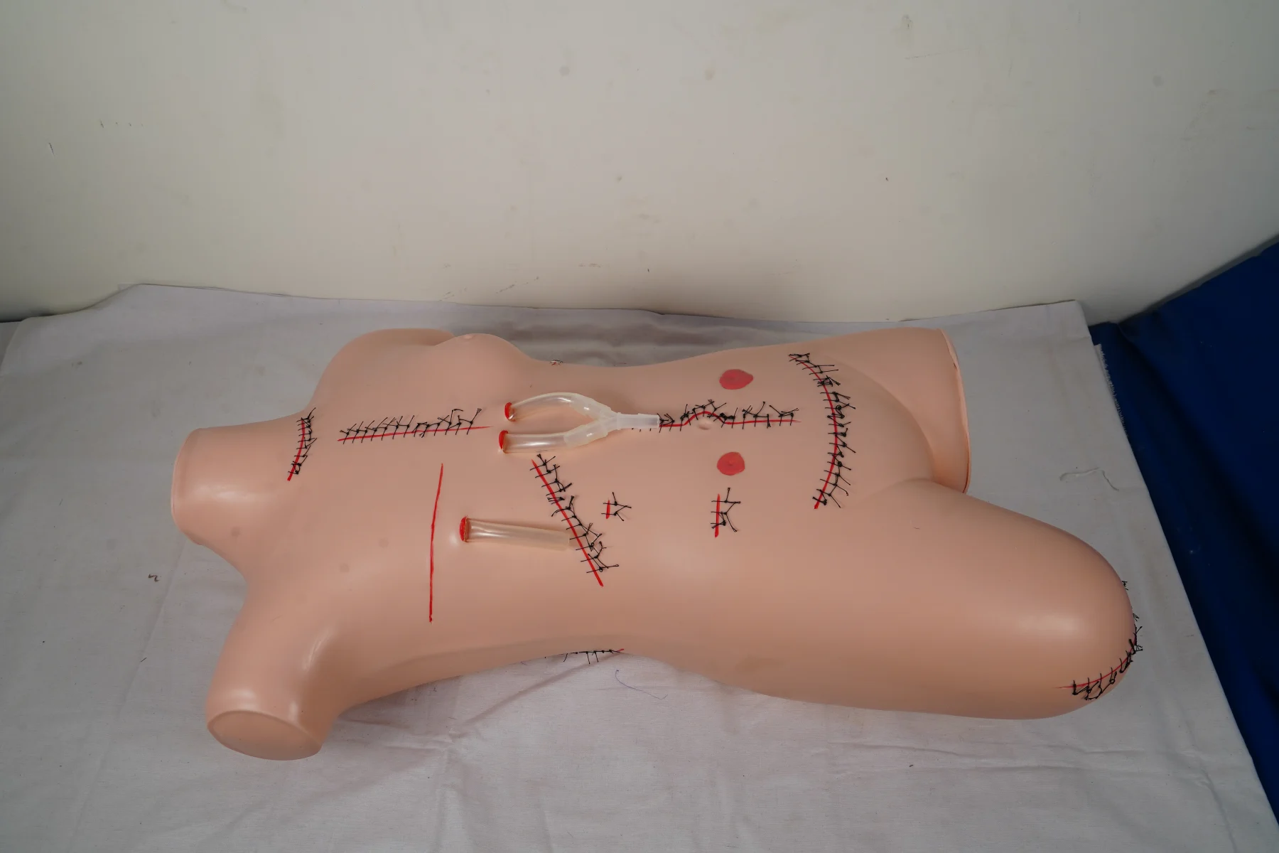 Surgical Suture and Bandaging Model thumbnail 2