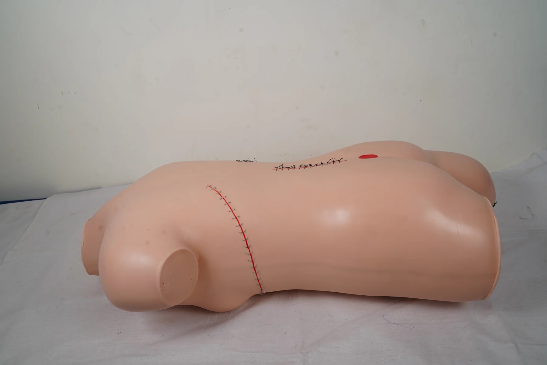 Surgical Suture and Bandaging Model thumbnail 10