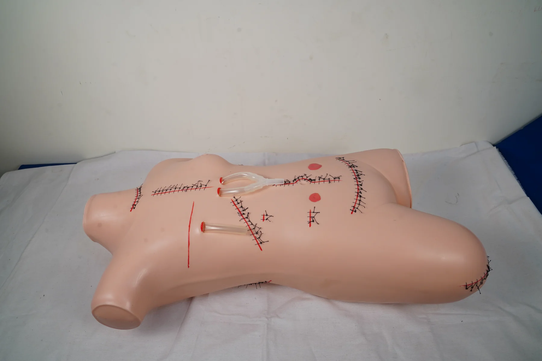 Surgical Suture and Bandaging Model thumbnail 3