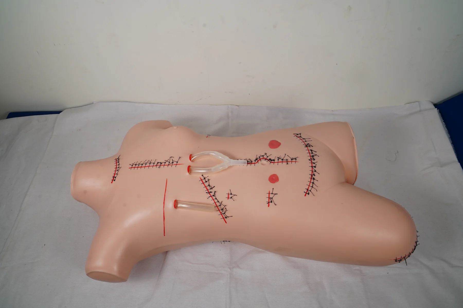 Surgical Suture and Bandaging Model thumbnail 4