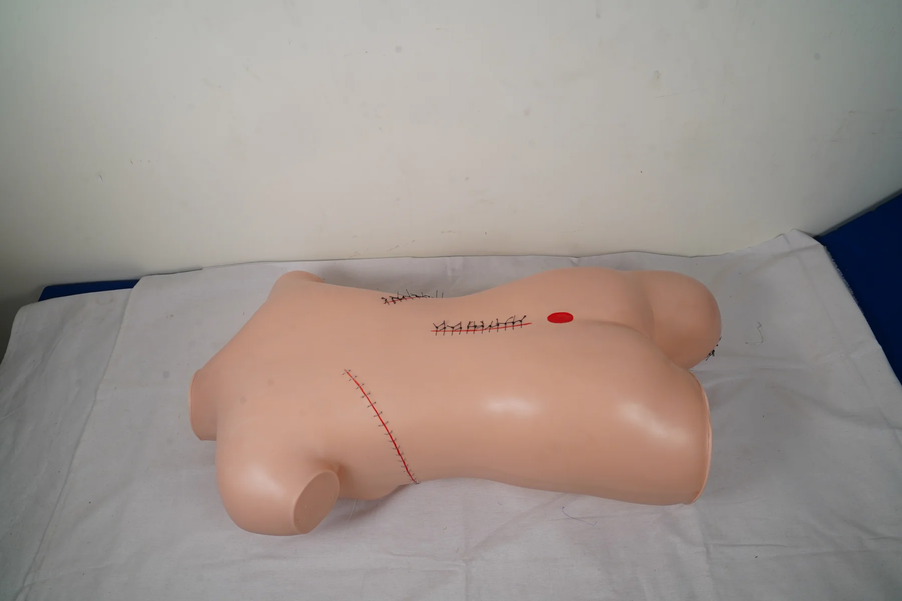 Surgical Suture and Bandaging Model thumbnail 6