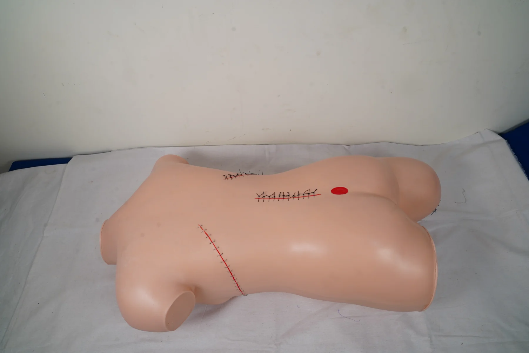Surgical Suture and Bandaging Model thumbnail 7